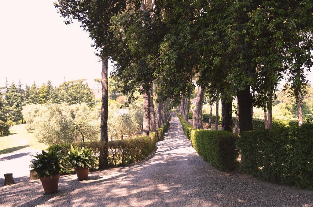 Villa S. Caterina Fauglia Room photo