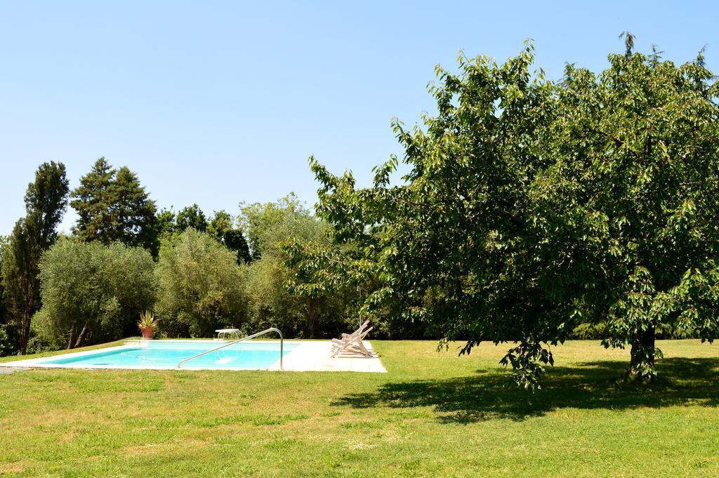 Villa S. Caterina Fauglia Room photo