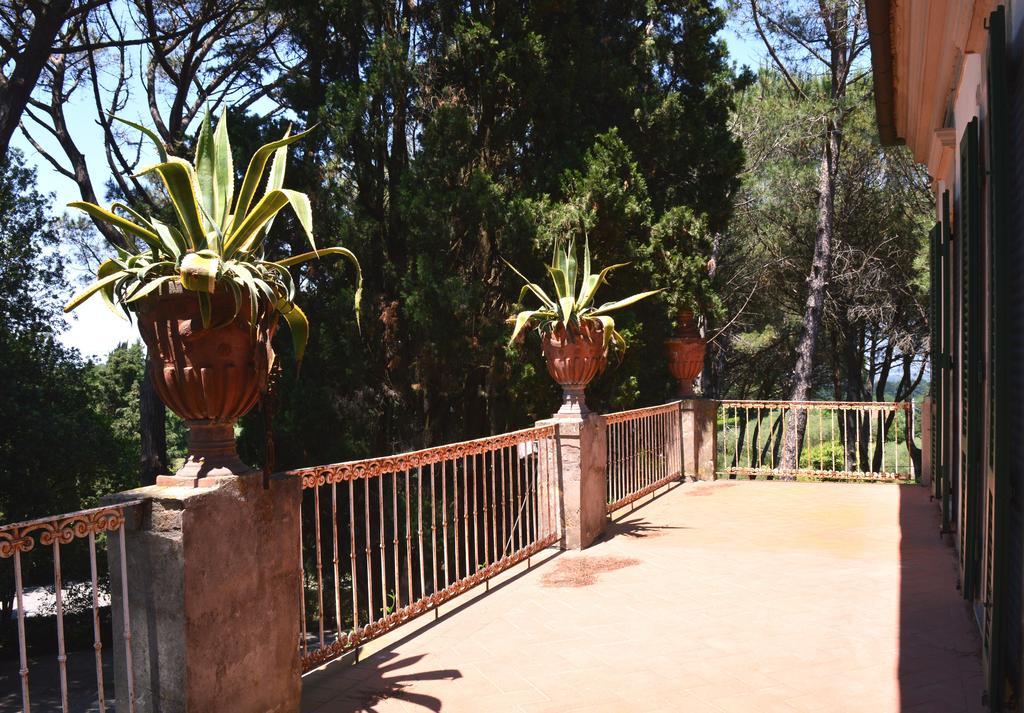 Villa S. Caterina Fauglia Room photo