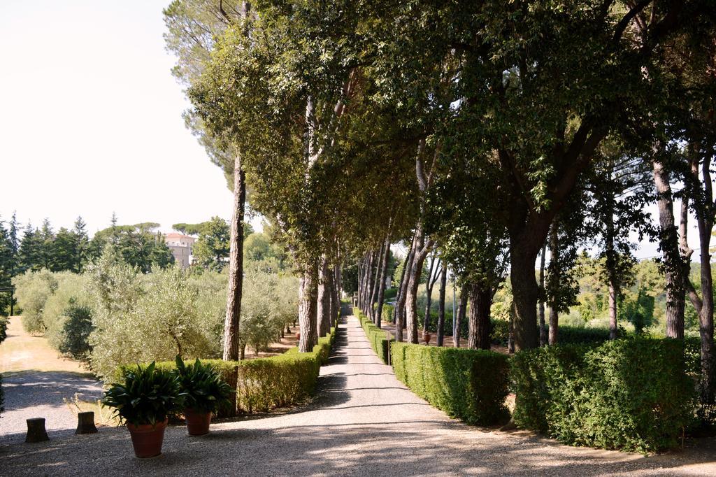 Villa S. Caterina Fauglia Exterior photo